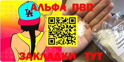 стаф Дмитров