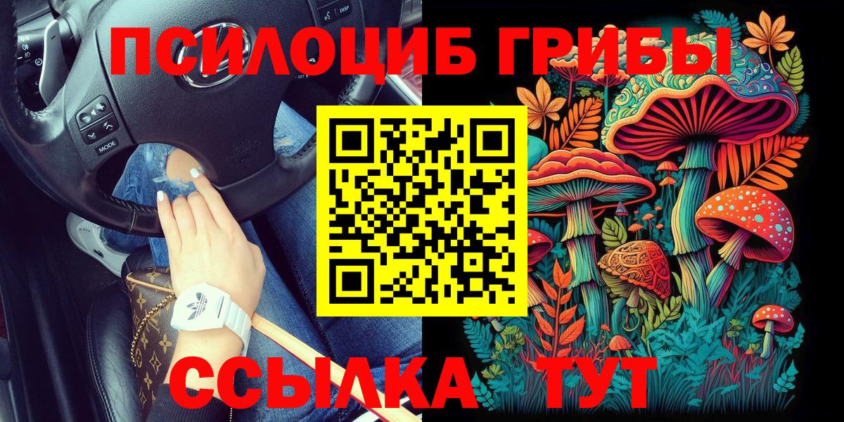 Псилоцибиновые грибы Cubensis  Галлюциногенные грибы Psilocybe  где купить наркотик  Воронеж  Вход с VPN 