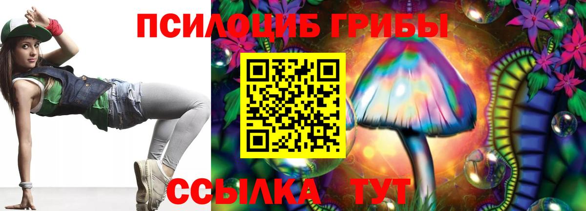Галлюциногенные грибы Psilocybe Воронеж